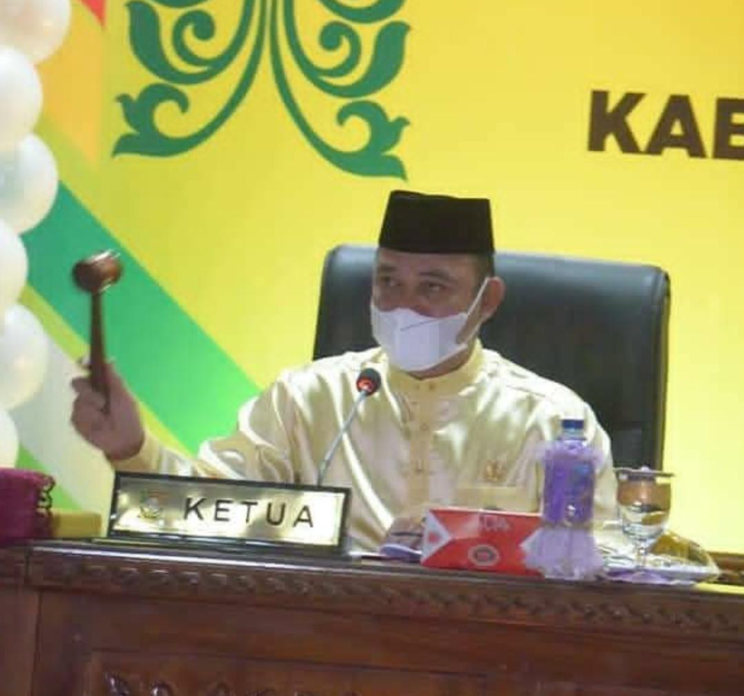 Ketua DPRD Kabupaten Kampar saat acara Hut Kampar
