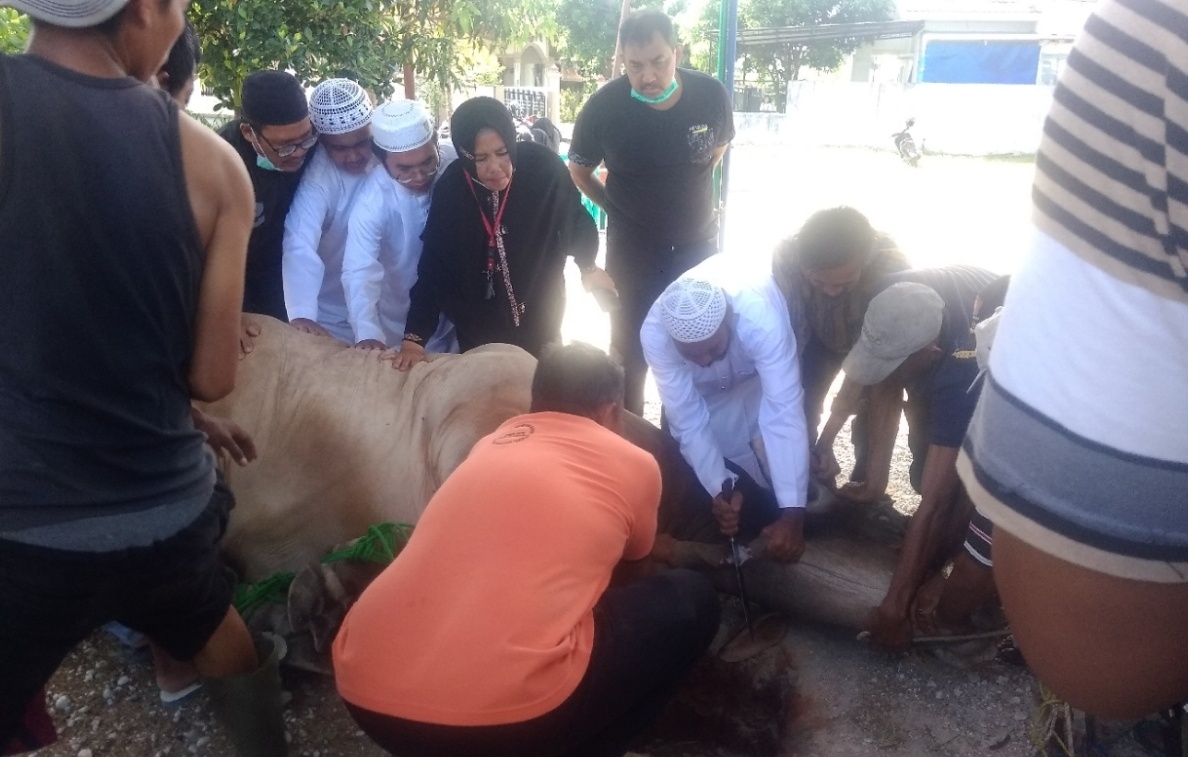 Didampingi keluarga, H Fathullah melakukan pemotongan hewan kurban seberat 1.373 ton dikediamannya