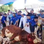 Dihadiri Ketua DPC Demokrat Pekanbaru, H Fathullah dan Keluarga Qurban Sapi Seberat 1,2 Ton