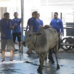 Usai Sholat Idul Adha 1447 H, Lapas Bagansiapiapi Potong 5 sapi dan 3 ekor kambing
