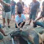 Partai PRI Riau Berkurban di Masjid Ar-Rahmat, Tebar Manfaat untuk Warga