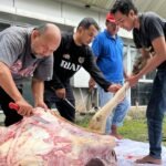 Luar Biasa Semangat, PWI Riau Gelar Pemotongan Hewan Kurban Idul Adha 1447 H