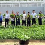 Produktif WBP Lapas Bagansiapiapi Panen Sawi Hingga Melon, Hasilnya Laris Dijual Ke Luar